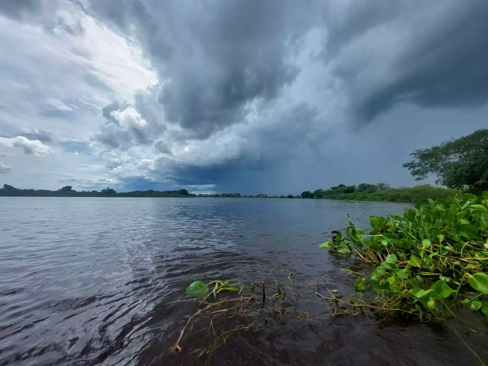 Previsão indica até 50 milímetros de chuva em Mato Grosso nos próximos dez dias Subtitle