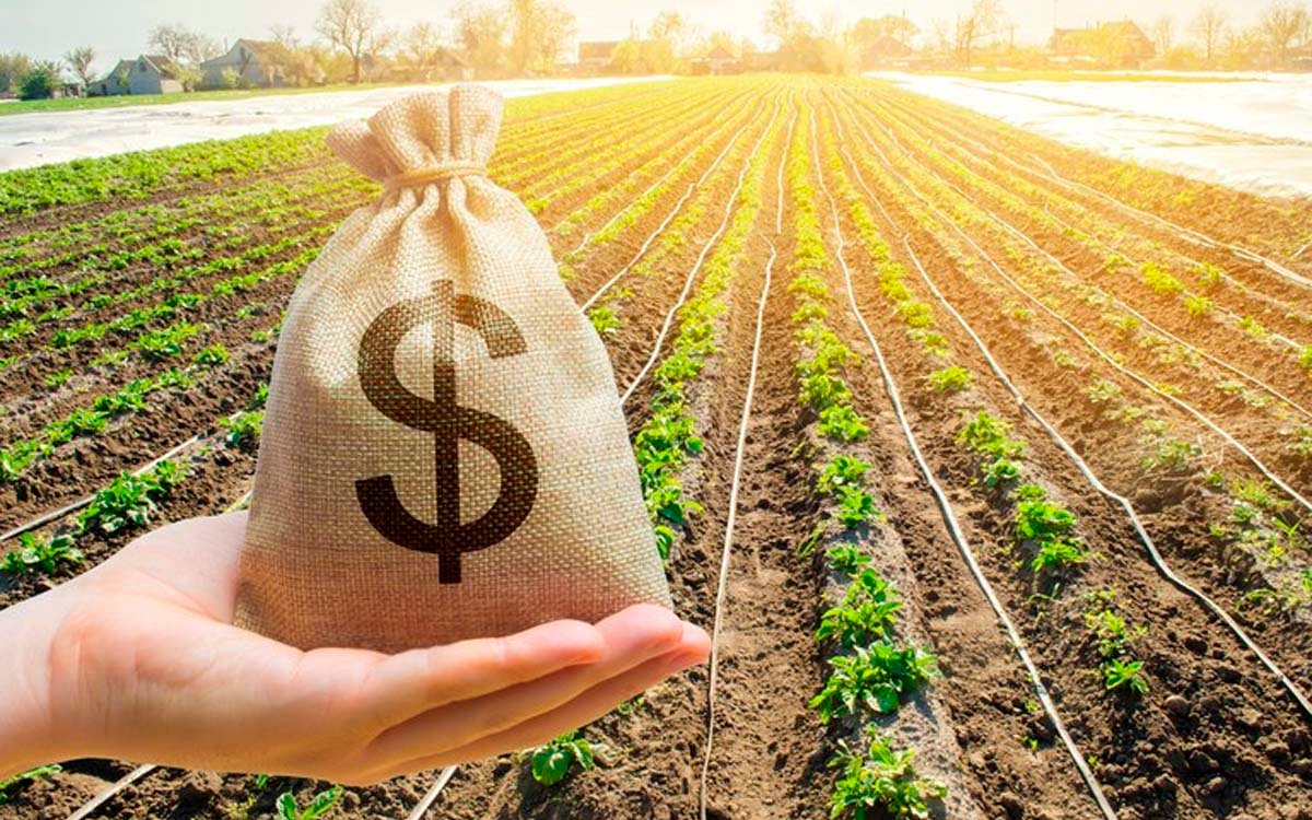 Pedidos de recuperação judicial no agronegócio crescem 27% no primeiro semestre