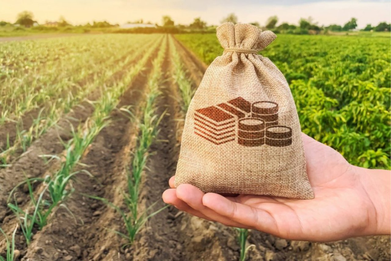 Estoque de CPR alcança R$ 600,3 bilhões e reforça financiamento privado do agro