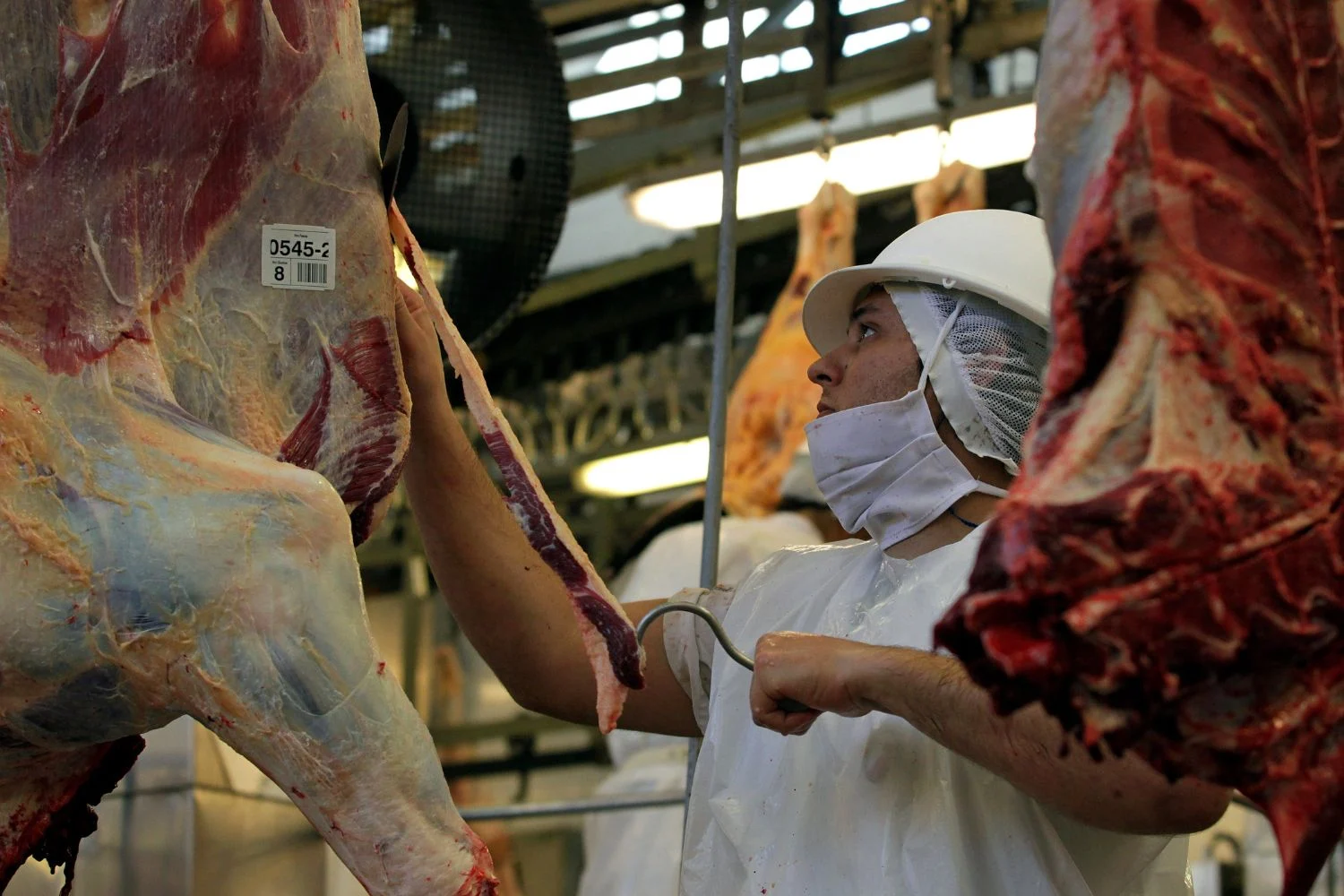 Mato Grosso lidera abate bovino no país com 1,81 milhão de cabeças no segundo trimestre