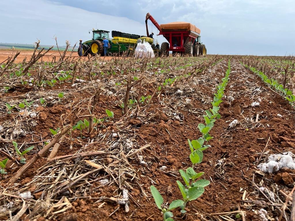Plantio de soja alcança 1,15% da área prevista em Mato Grosso