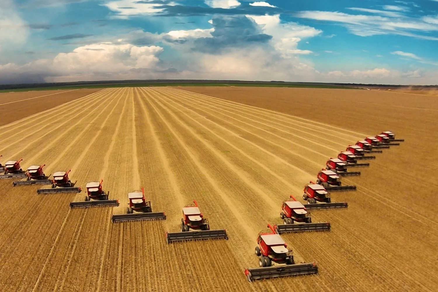 Mato Grosso impulsiona Centro-Oeste na liderança do valor da produção agropecuária
