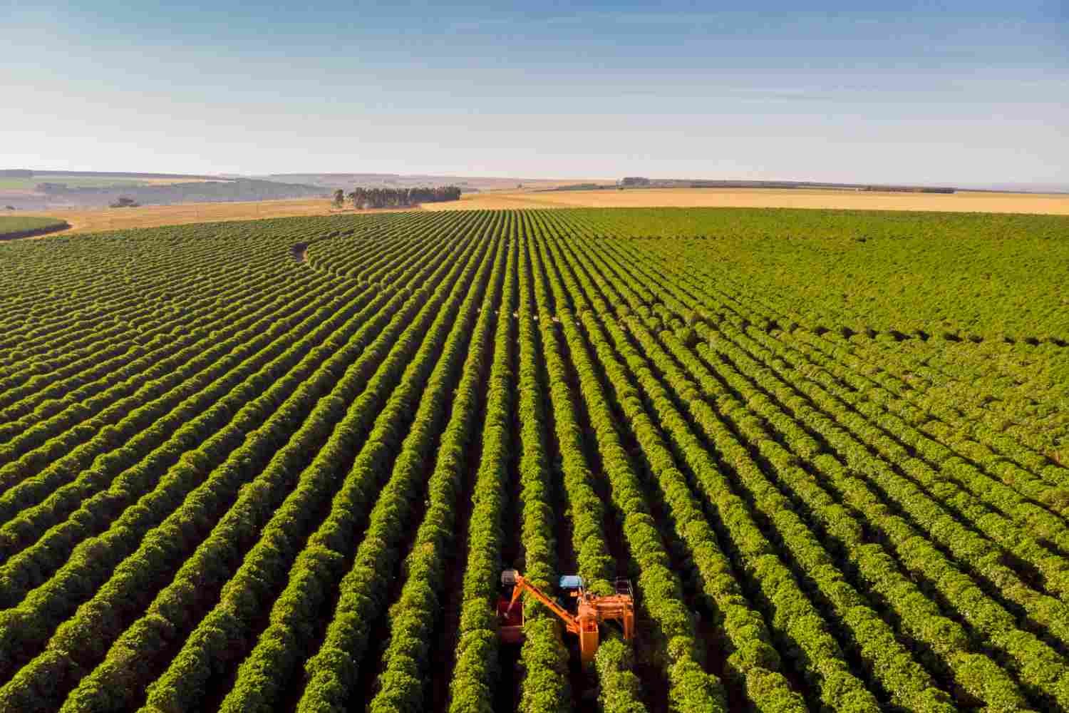 Produção agropecuária brasileira supera R$ 1,4 trilhão e Mato Grosso lidera entre os estados