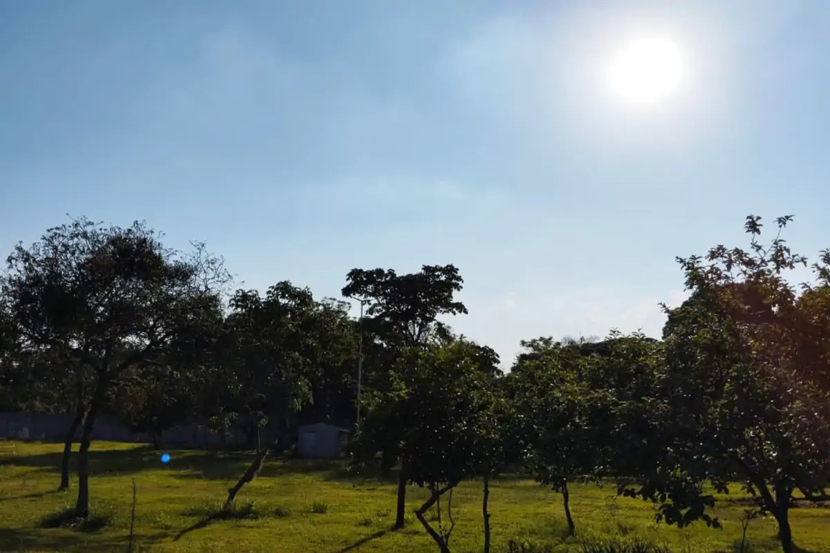 Calor volta a ganhar força em Mato Grosso do Sul e pode superar 40°C no fim de semana
