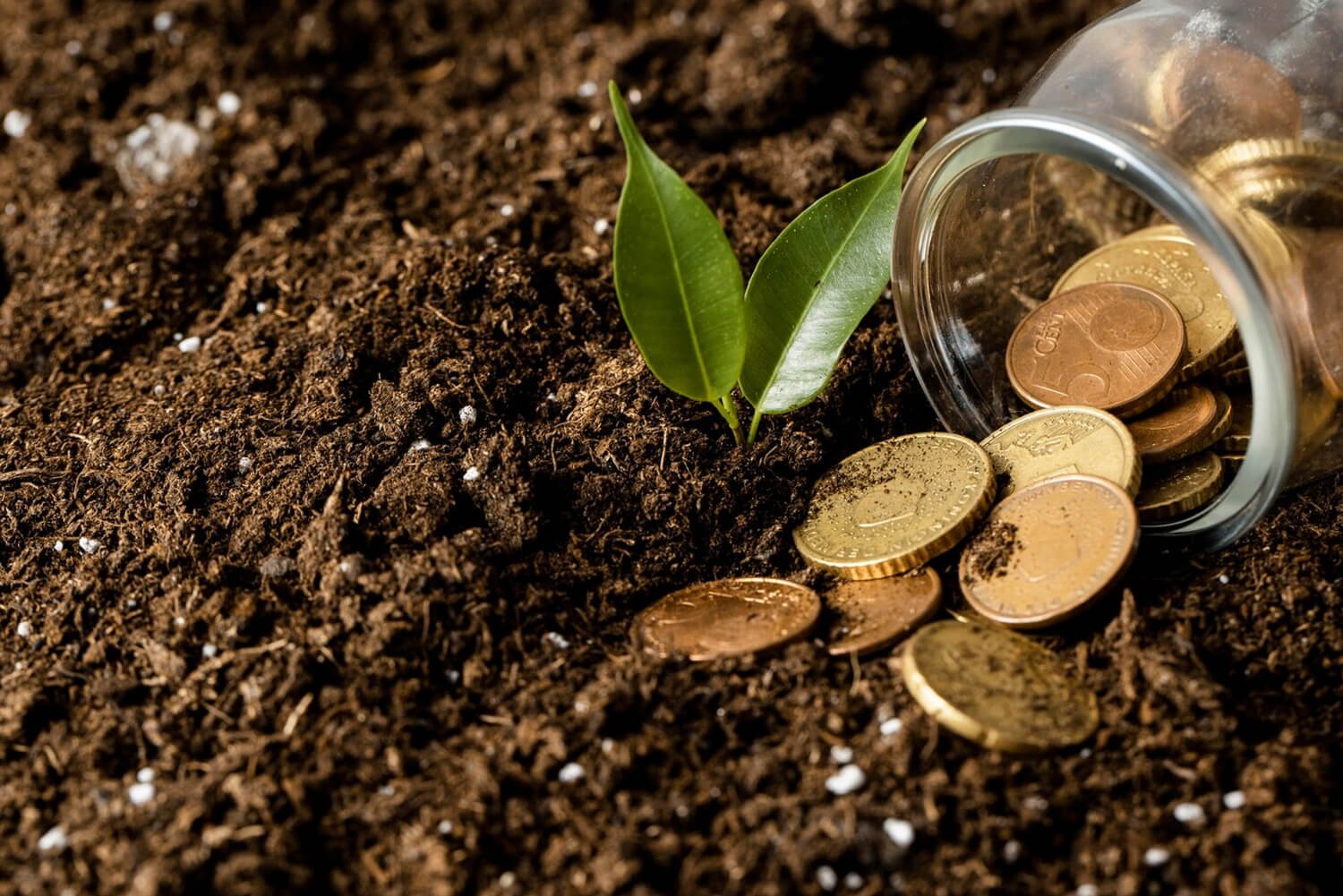 Crédito rural fica mais seletivo e produtor amplia busca por alternativas de financiamento