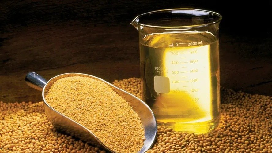 Indústrias mantêm previsão de safra de soja no Brasil e cortam estimativa para exportações
