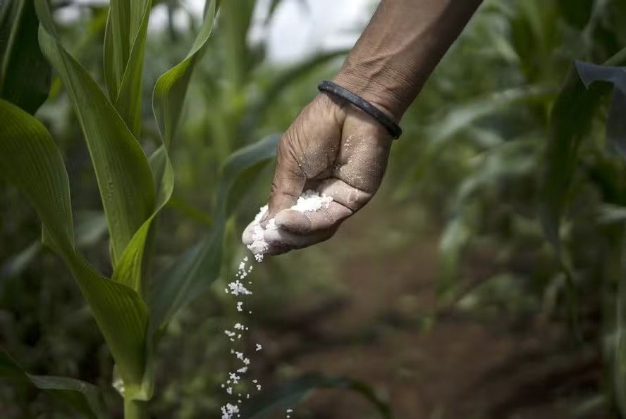 Acordo com Marrocos prevê 3,8 milhões de toneladas de fertilizantes fosfatados ao Brasil