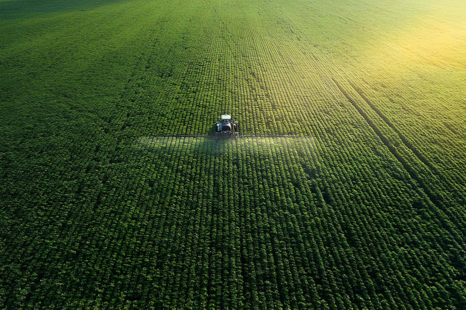 Programa nacional de fertilizantes entra em vigor com meta de ampliar produção brasileira