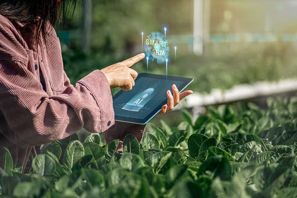 Empresa brasileira leva inteligência artificial para modernizar sistemas do agro nos Estados Unidos