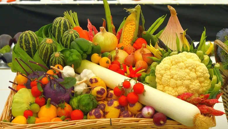 Projeto na Câmara prioriza armazenagem de frutas e hortaliças em programas federais
